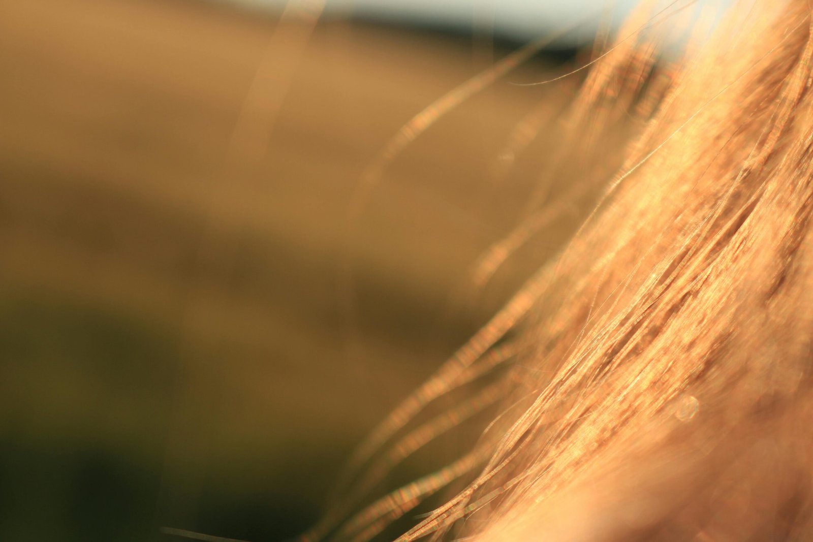 Comment obtenir des cheveux plus brillants grâce à une routine de séchage adaptée